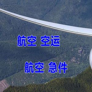 莎车叶尔羌航空快递快递-选东方航空和上海航空