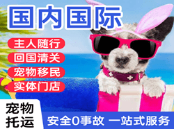 莎车叶尔羌航空快递国际宠物托运 【国